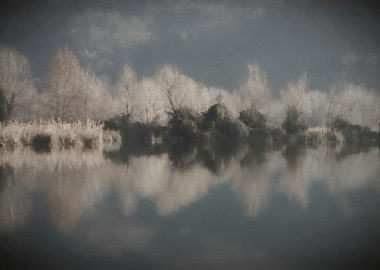 winter reflection on lake