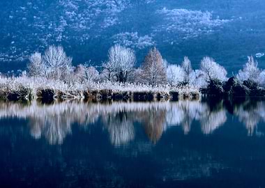 winter reflection on lake