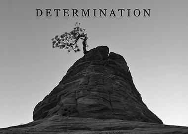 Determination rock