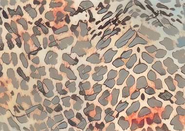 abstract leopard fur