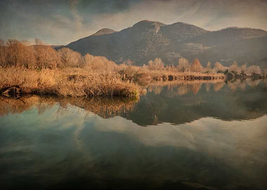 winter reflection on lake