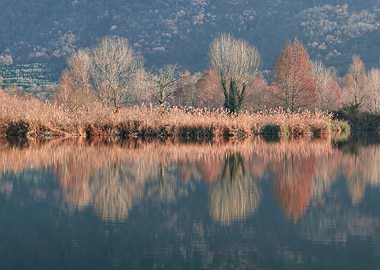 winter reflection on lake