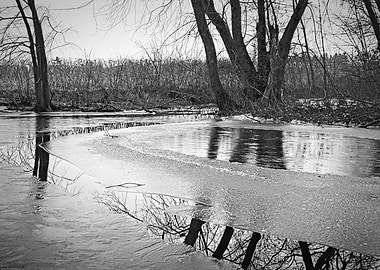 Ice Reflections