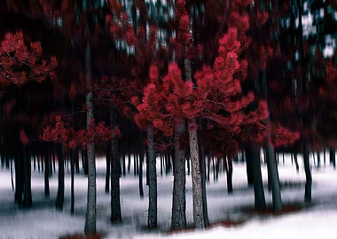 The Red Forest