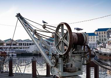 Seagulls standing on crane