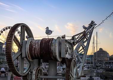 Seagulls standing on crane