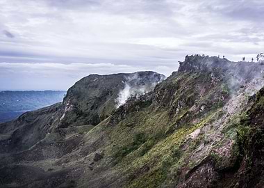 Monkey Close up Bali