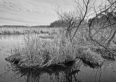 North to Great Meadows