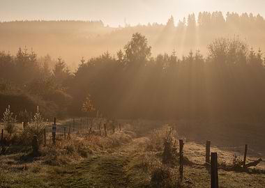 Foggy Morning in Belgium