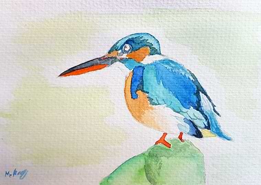 Kingfisher