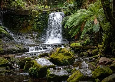Waterfall in Tasmania