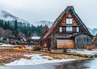 House in the end of forest