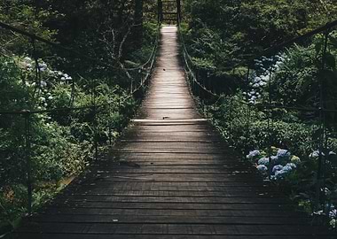 Black Hanging Bridge