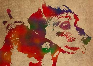 Paddy Watercolor Portrait