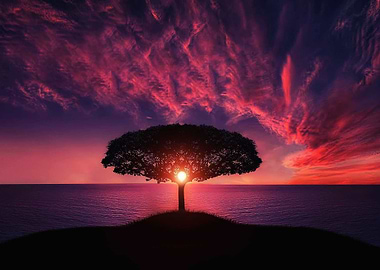 Lonely Island Sunset