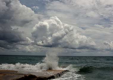 a unique day at the beach