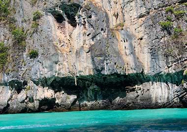 follow your own path