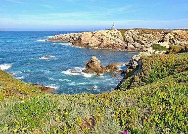 Wonderful Alentejo Nature