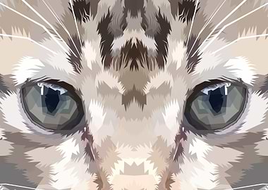 close up of face kitten