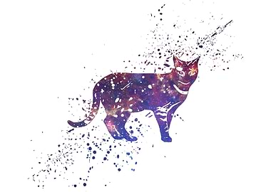 Cat Galaxy Splatter
