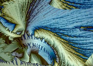 Benzenediol Dreams XI