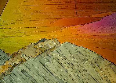 Benzenediol Dreams XII