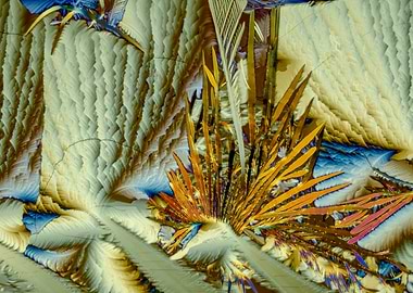 Benzenediol Dreams V