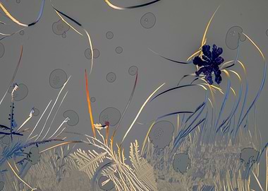 Alien Planet Seabed I