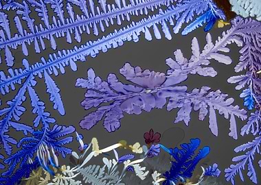 Benzenediol Dreams II