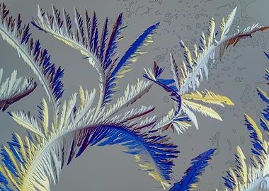 Vitamin C Feathers V