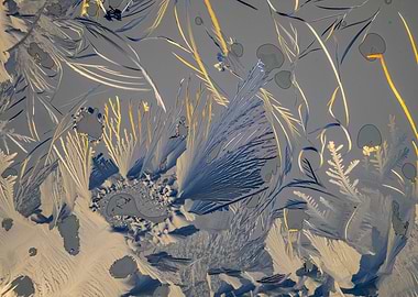 Alien Planet Seabed III