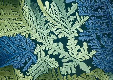 Benzenediol Dreams IX