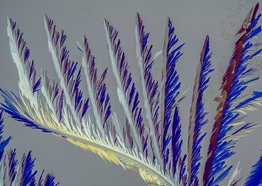 Vitamin C Feathers IV