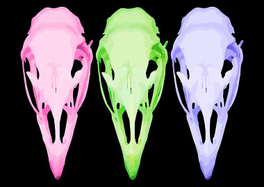 Neon Bird Skulls