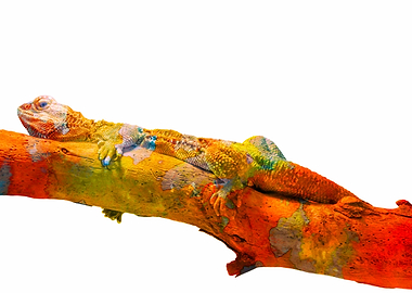 abstract bearded dragon