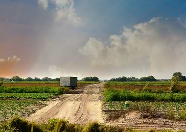working in the fields