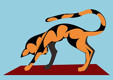 Downward Facing Cat