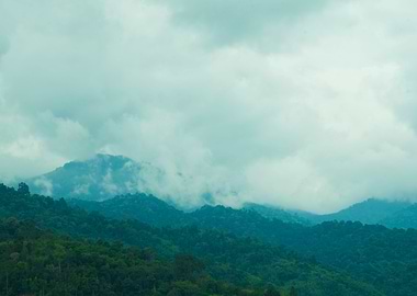mountain forest cloud