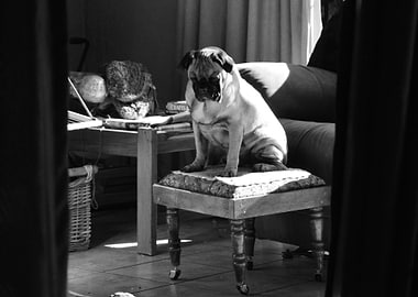 The weight of the world