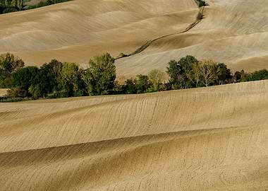 Autumn in Tuscany