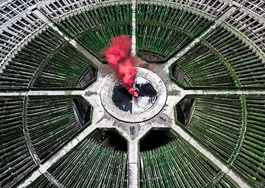 Plant Tower by Drone