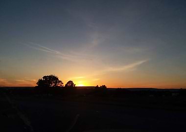 Silhouetted by the Sunset