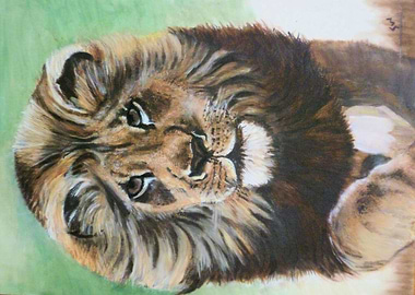 Lion 3
