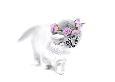 floral halo on a fur ball