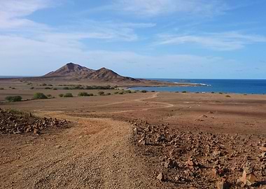 Sleeping Lion Cape Verde