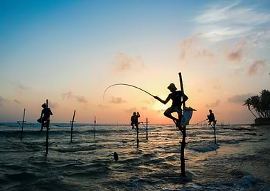 Sri Lanka stilt fishermen