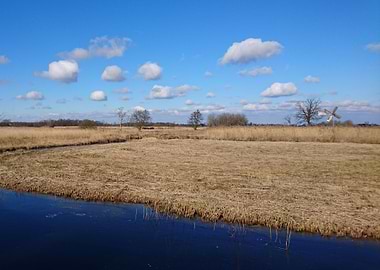 Nature landscape in winter