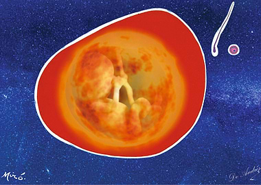 El vuelo de la Libelula