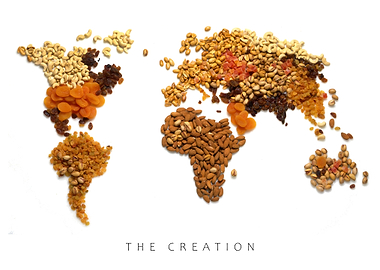 The Creation World Map