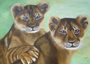 Lion 6 Cubs